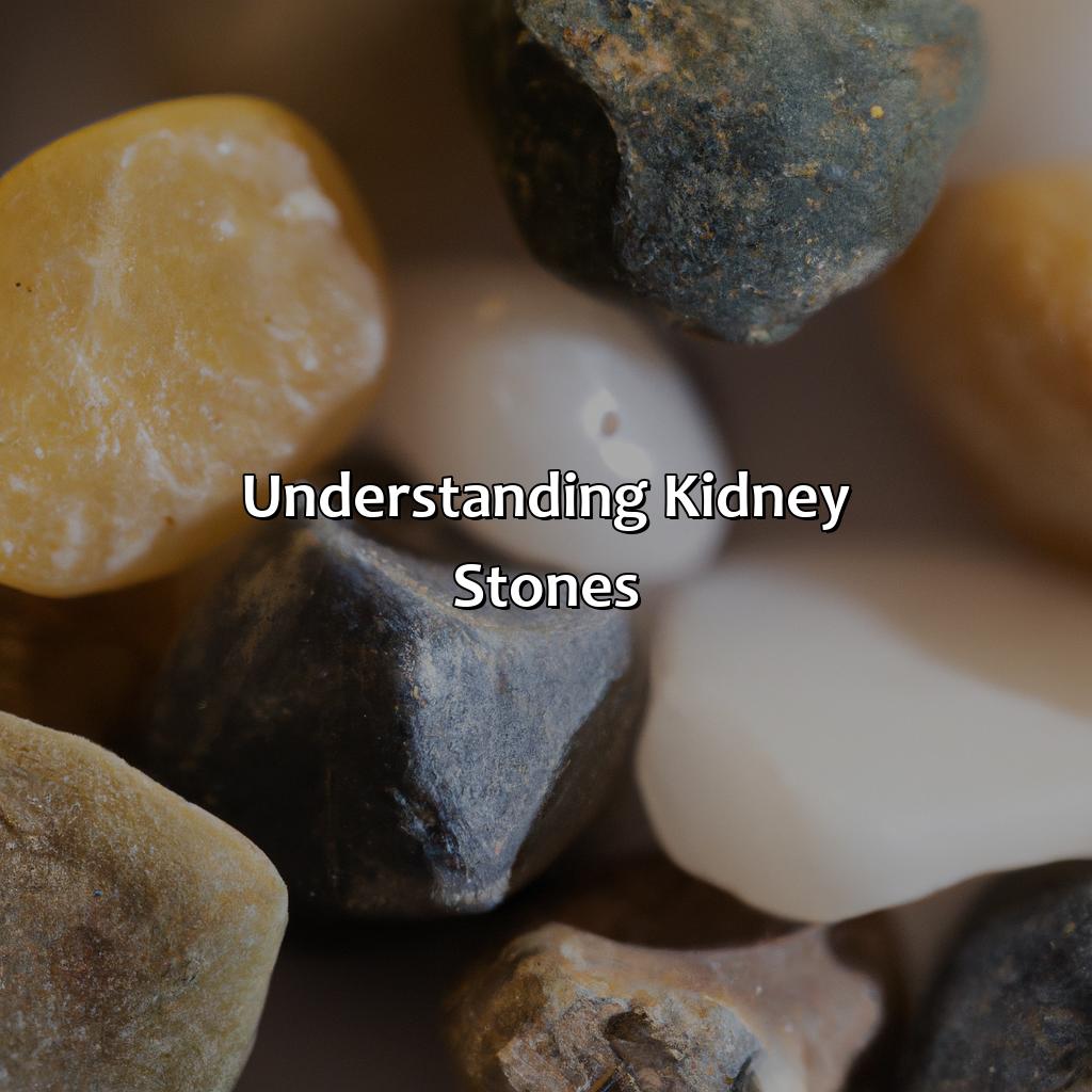 Understanding Kidney Stones  - What Color Is A Kidney Stone, 