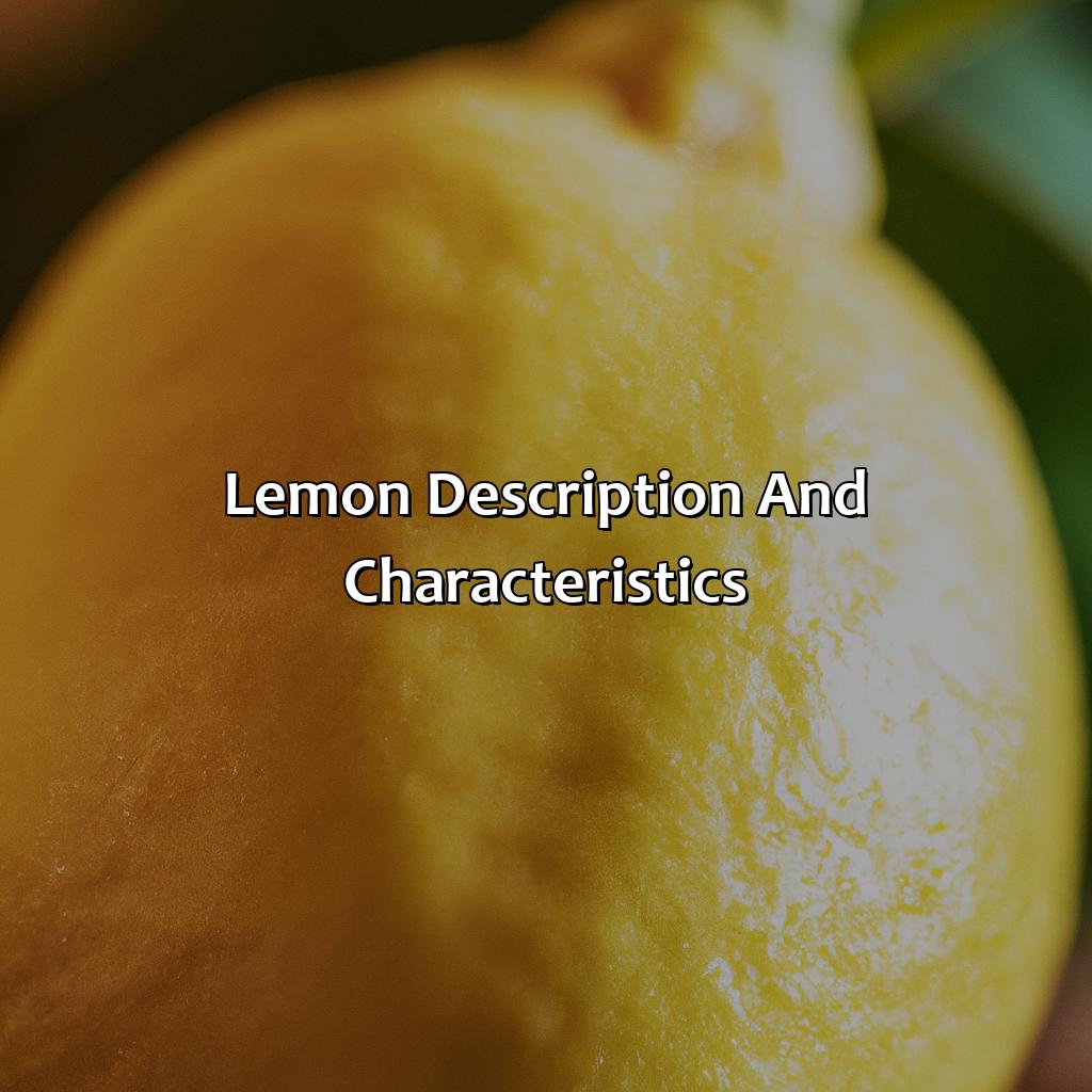 Lemon: Description And Characteristics  - What Color Is A Lemon, 