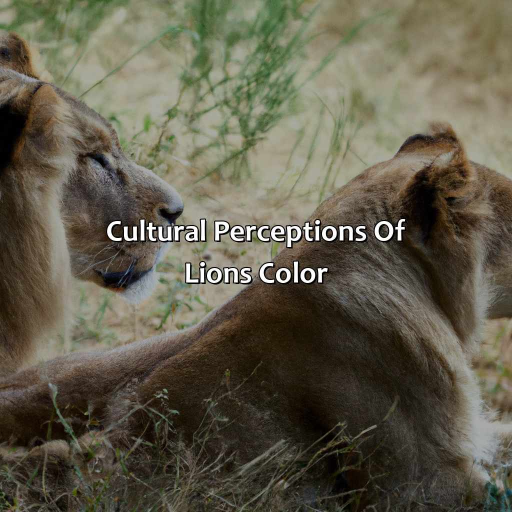Cultural Perceptions Of Lion’S Color  - What Color Is A Lion, 