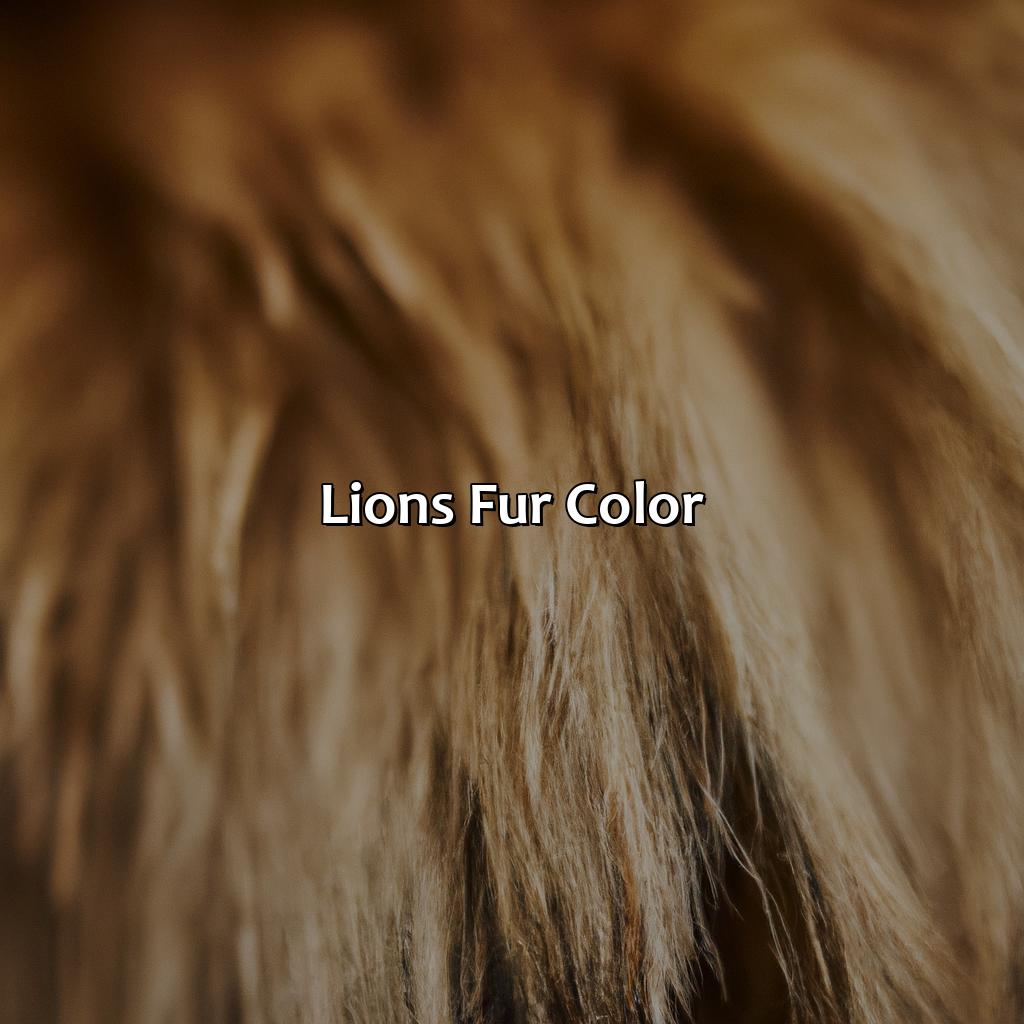 Lion’S Fur Color  - What Color Is A Lion, 