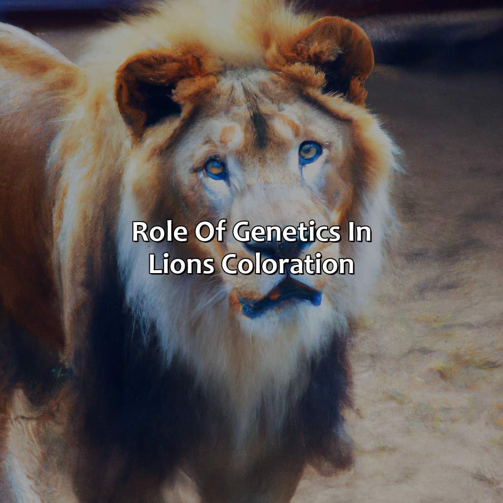 Role Of Genetics In Lion’S Coloration  - What Color Is A Lion, 