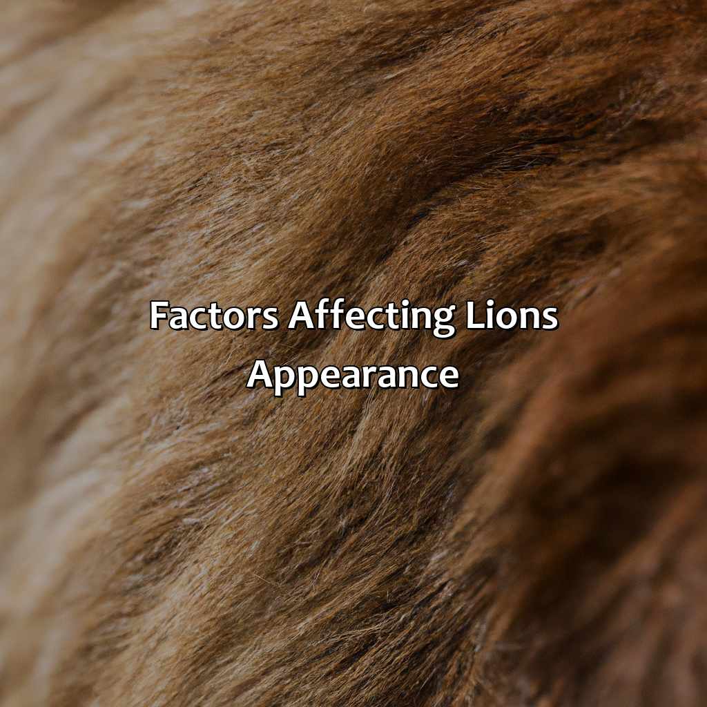 Factors Affecting Lion’S Appearance  - What Color Is A Lion, 