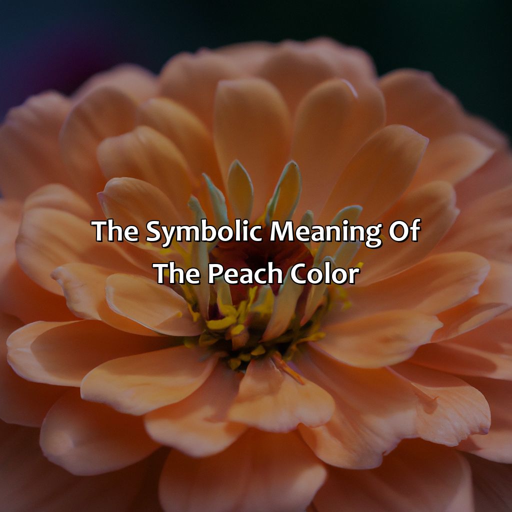 The Symbolic Meaning Of The Peach Color  - What Color Is A Peach, 