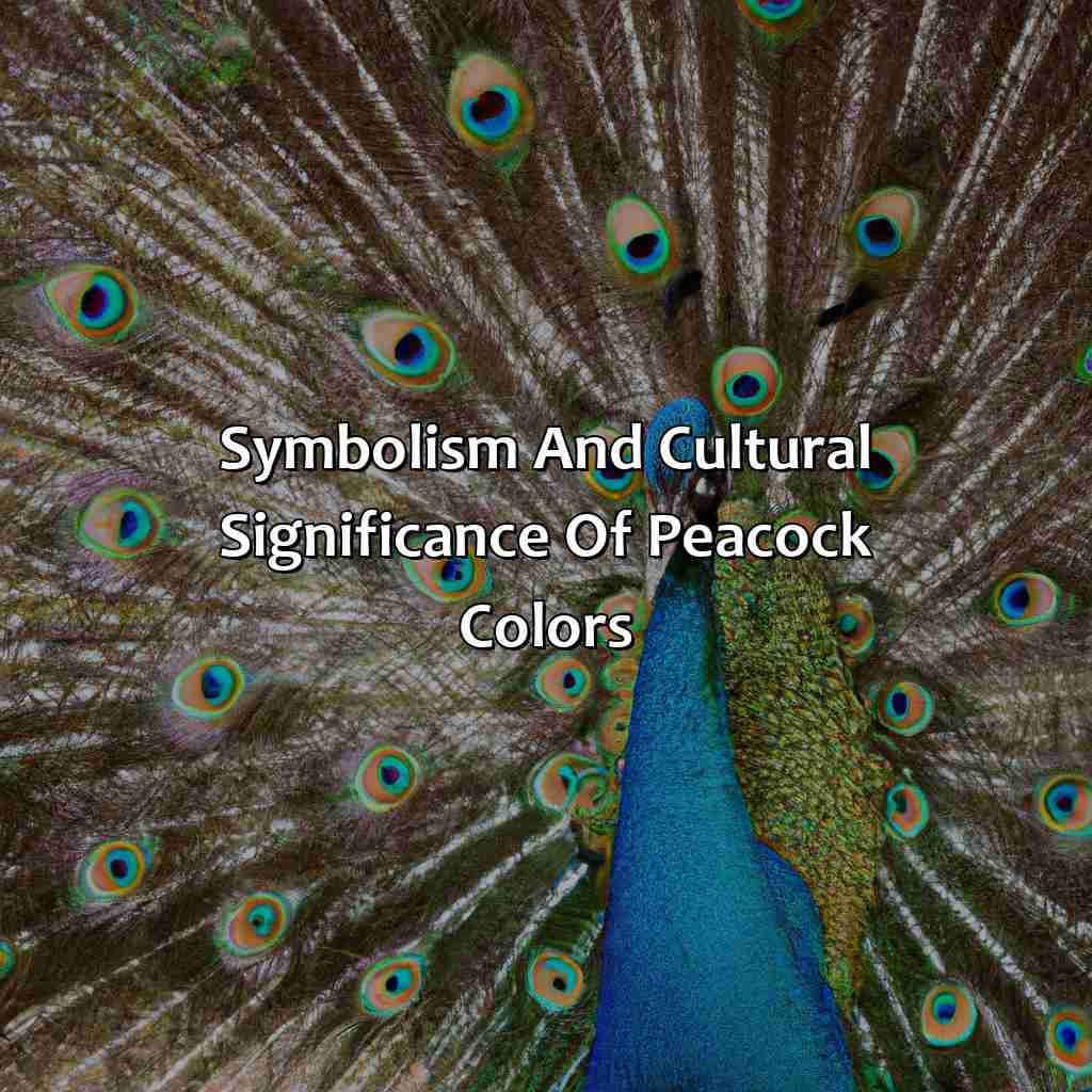 Symbolism And Cultural Significance Of Peacock Colors  - What Color Is A Peacock, 