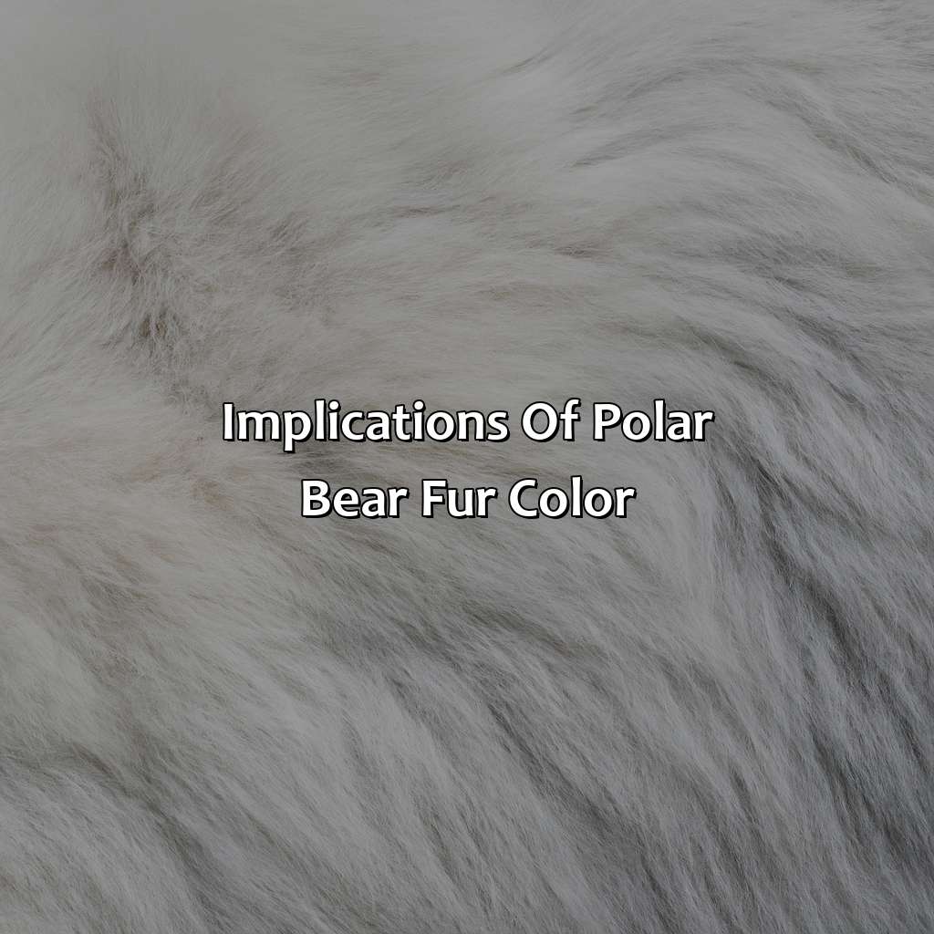Implications Of Polar Bear Fur Color  - What Color Is A Polar Bears Fur, 