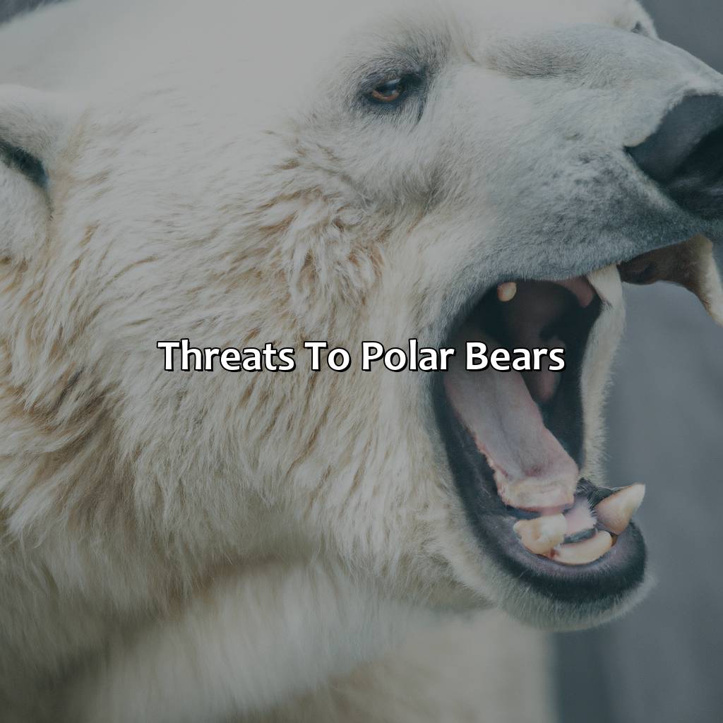 Threats To Polar Bears  - What Color Is A Polar Bear