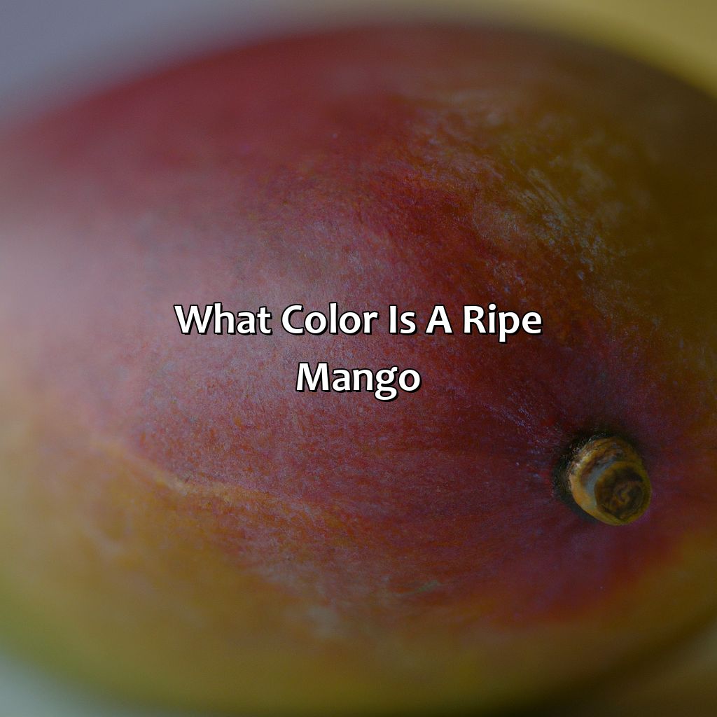 What Color Is A Ripe Mango - colorscombo.com