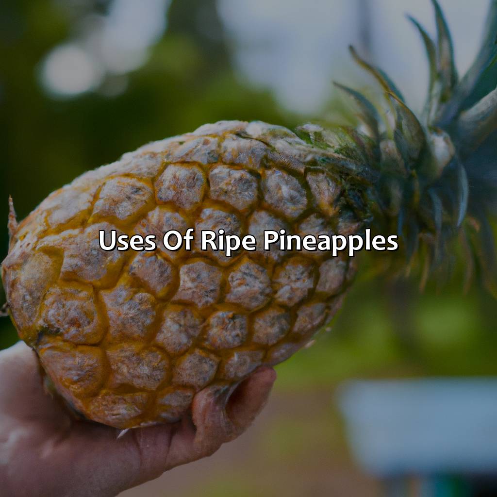 Uses Of Ripe Pineapples  - What Color Is A Ripe Pineapple, 