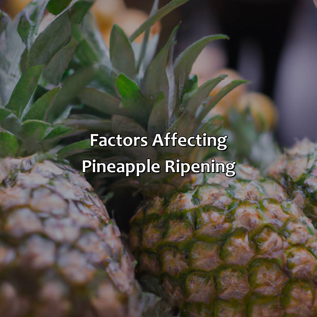 Factors Affecting Pineapple Ripening  - What Color Is A Ripe Pineapple, 