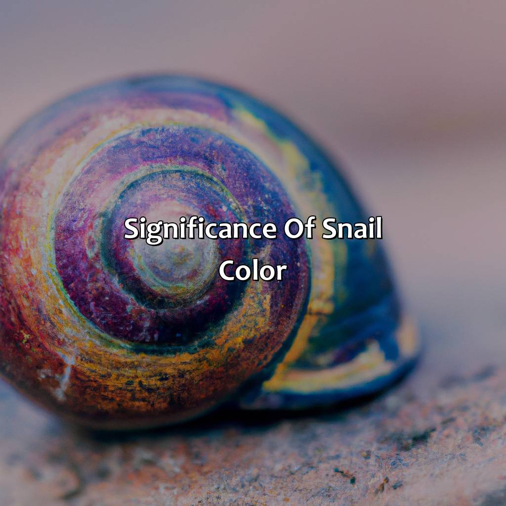 Significance Of Snail Color  - What Color Is A Snail, 