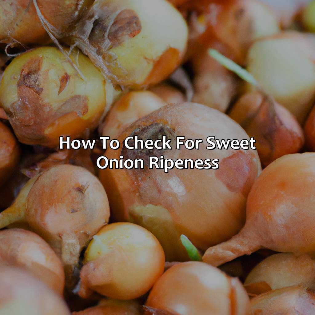 How To Check For Sweet Onion Ripeness  - What Color Is A Sweet Onion, 