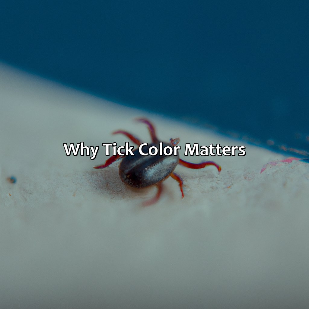 Why Tick Color Matters  - What Color Is A Tick, 