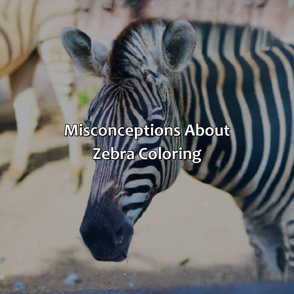 Misconceptions About Zebra Coloring  - What Color Is A Zebra, 