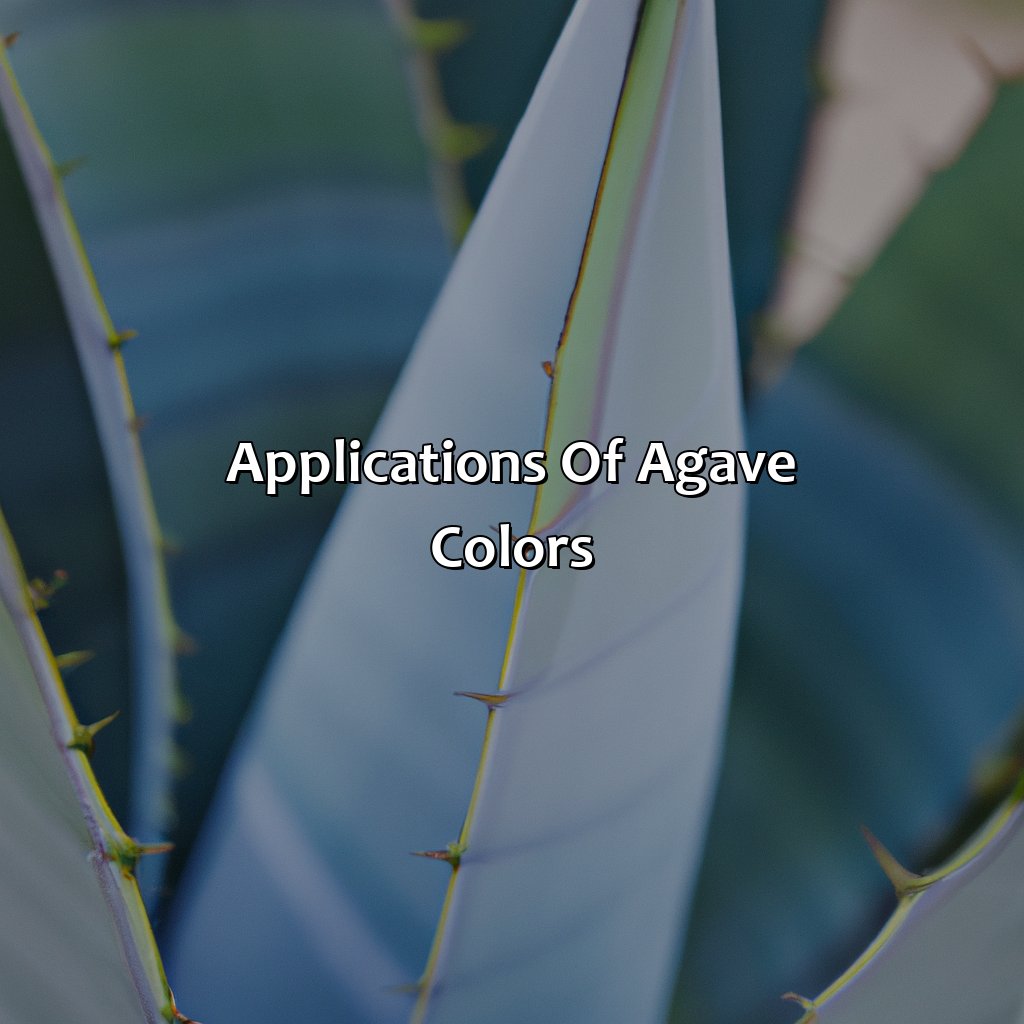 Applications Of Agave Colors  - What Color Is Agave, 