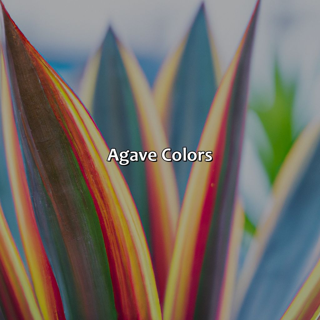 Agave Colors  - What Color Is Agave, 