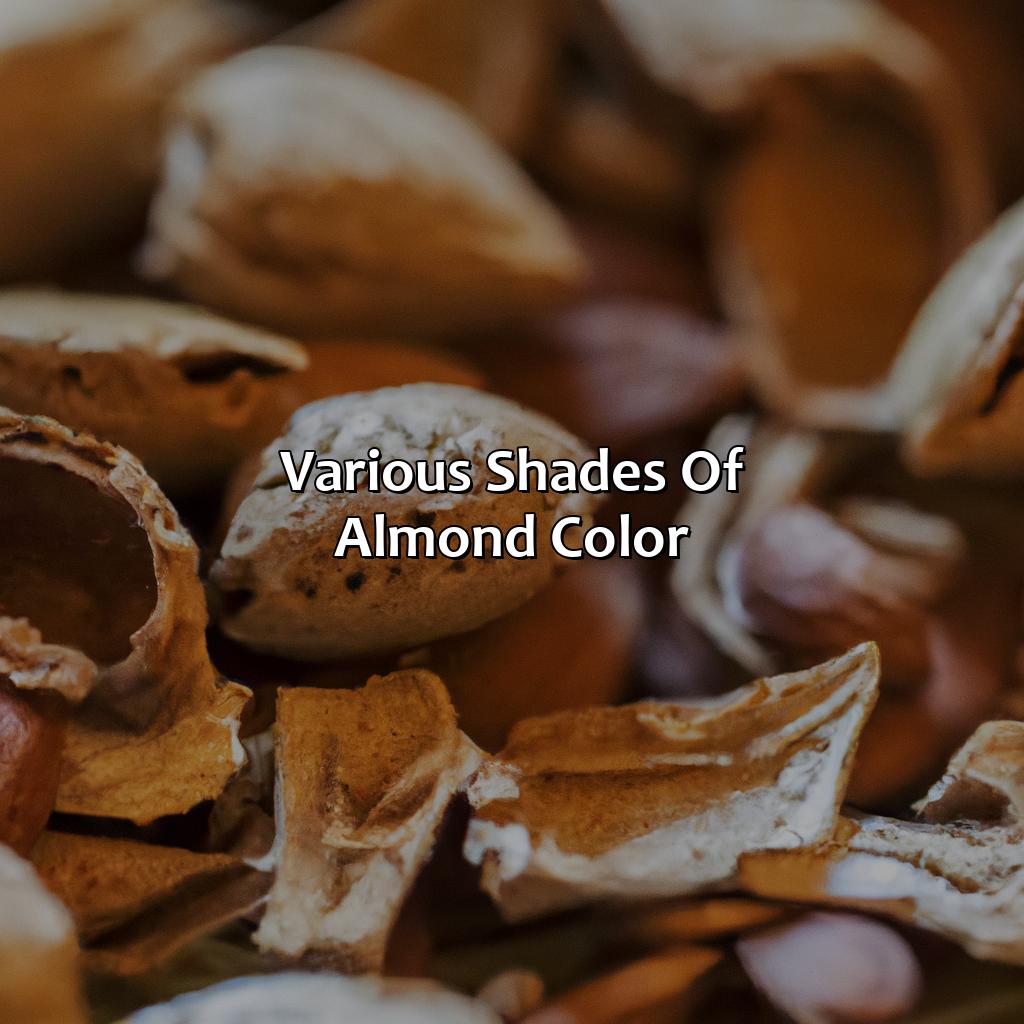 Various Shades Of Almond Color  - What Color Is Almond, 