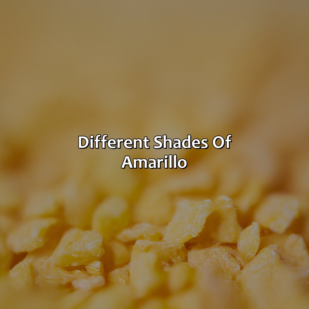 Different Shades Of Amarillo  - What Color Is Amarillo, 