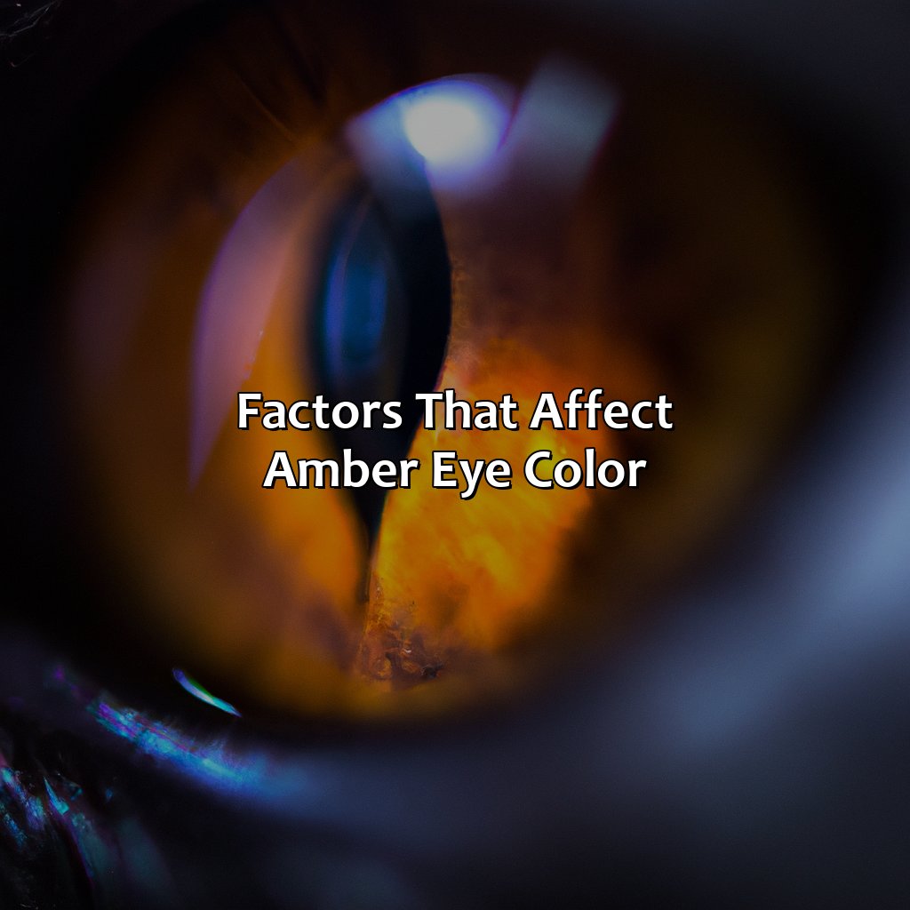 Factors That Affect Amber Eye Color  - What Color Is Amber Eyes, 