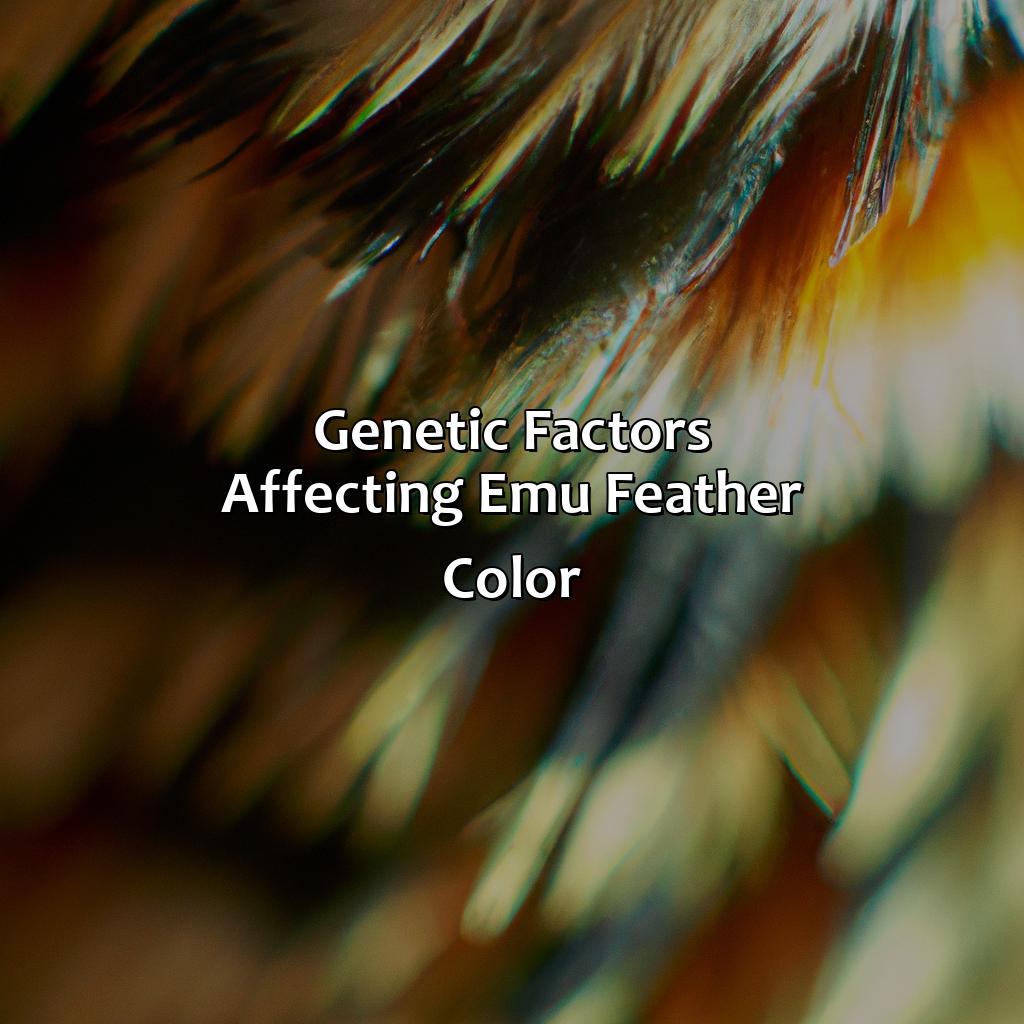 Genetic Factors Affecting Emu Feather Color  - What Color Is An Emu, 
