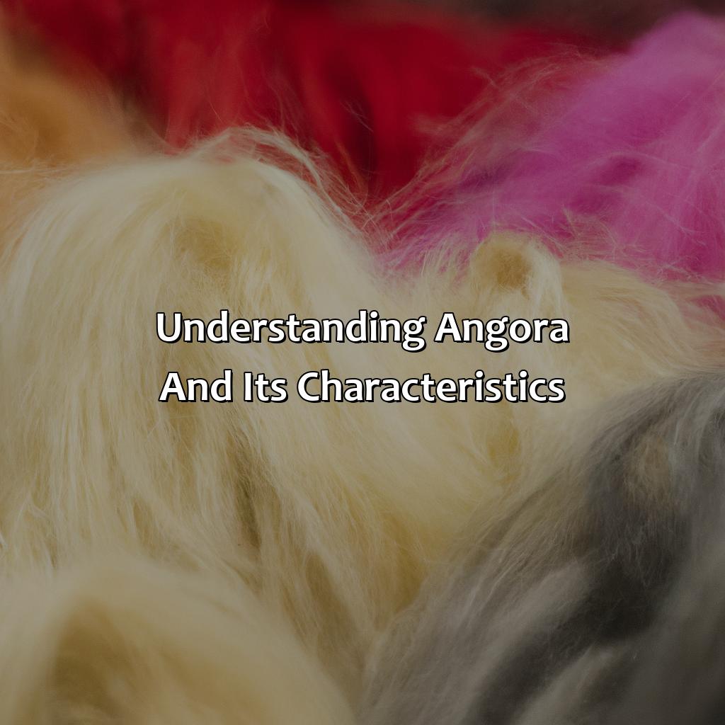 Understanding Angora And Its Characteristics  - What Color Is Angora, 
