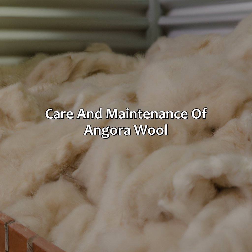 Care And Maintenance Of Angora Wool  - What Color Is Angora, 
