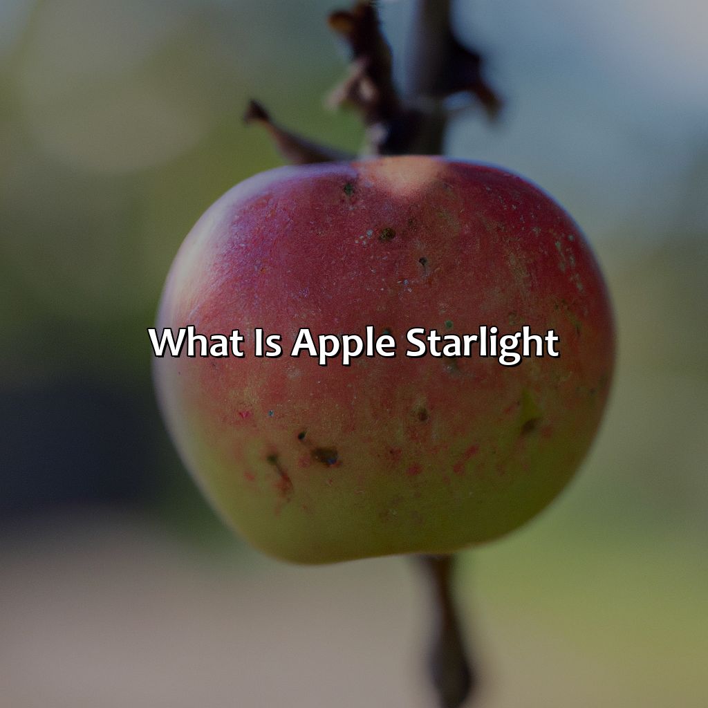 What Is Apple Starlight?  - What Color Is Apple Starlight, 