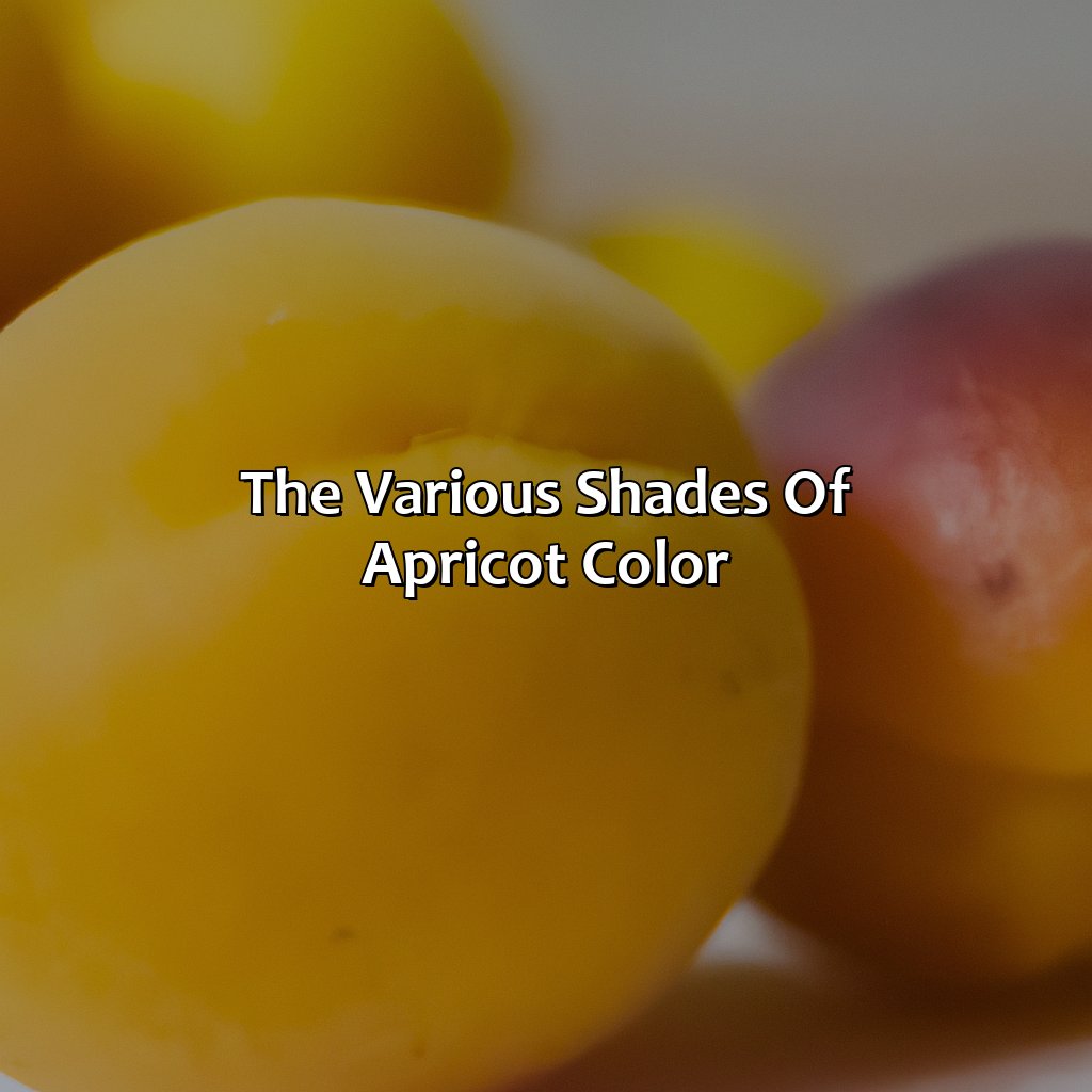 The Various Shades Of Apricot Color  - What Color Is Apricot, 
