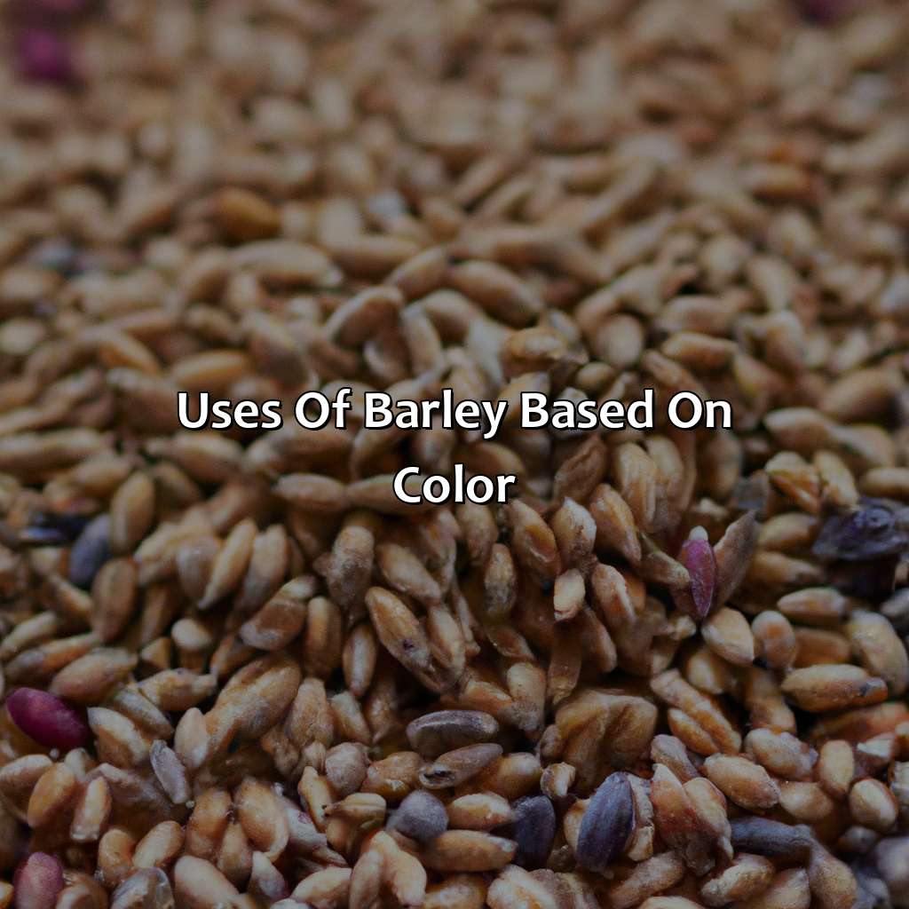 Uses Of Barley Based On Color  - What Color Is Barley, 