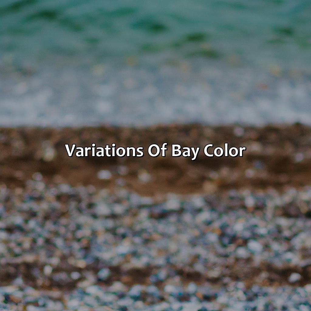 Variations Of Bay Color  - What Color Is Bay, 