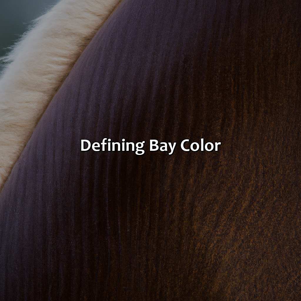 Defining Bay Color  - What Color Is Bay, 