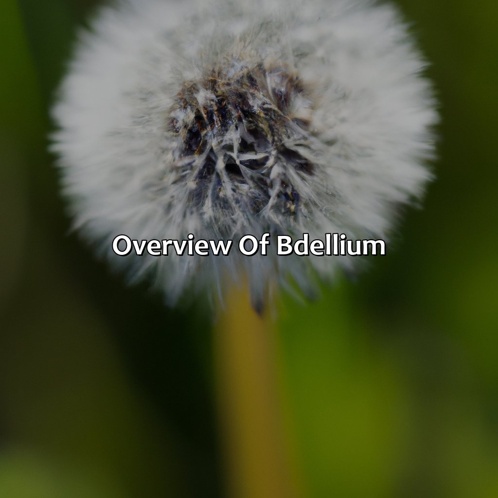 Overview Of Bdellium  - What Color Is Bdellium, 