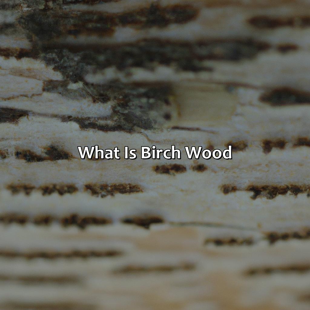 What Is Birch Wood?  - What Color Is Birch Wood, 