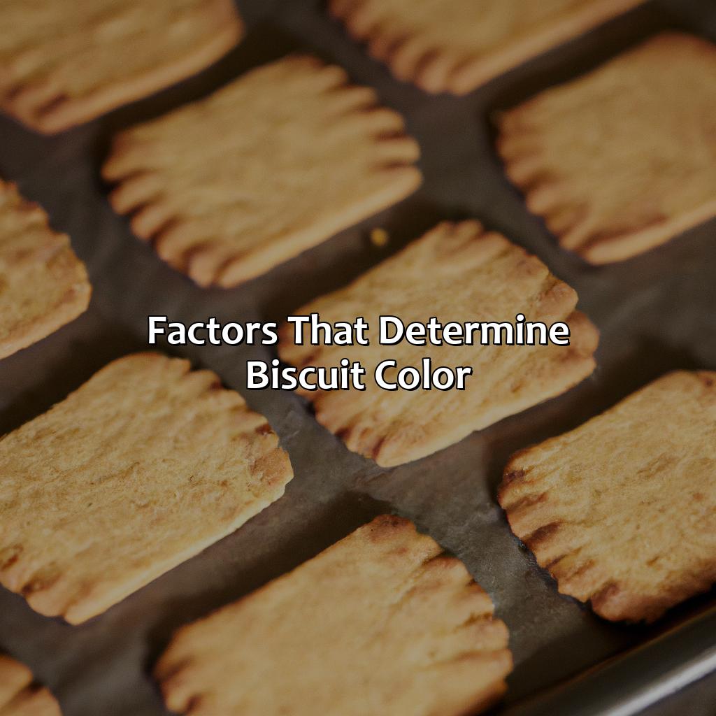 Factors That Determine Biscuit Color  - What Color Is Biscuit, 