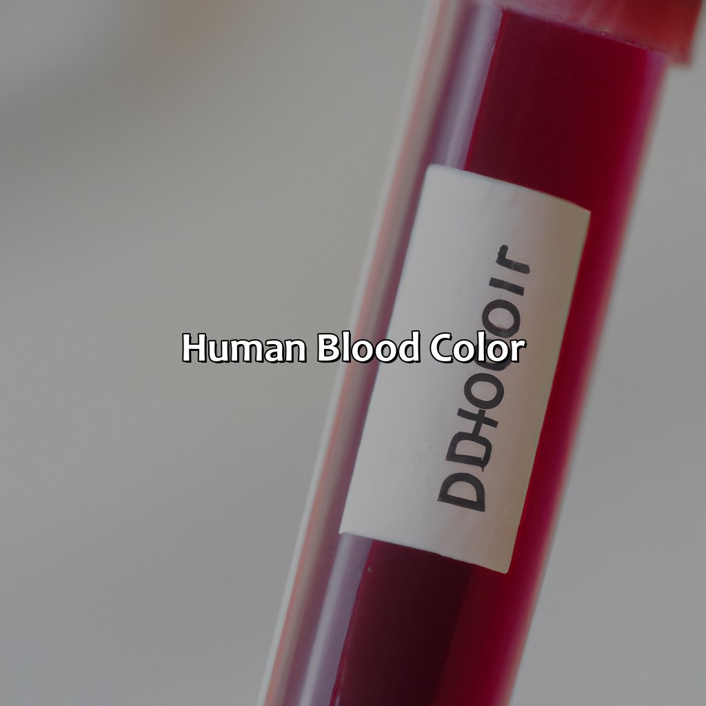 Human Blood Color  - What Color Is Blood, 