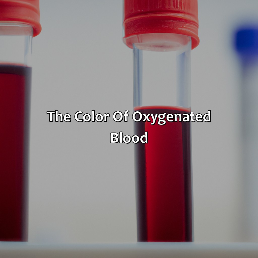 The Color Of Oxygenated Blood  - What Color Is Blood Without Oxygen, 
