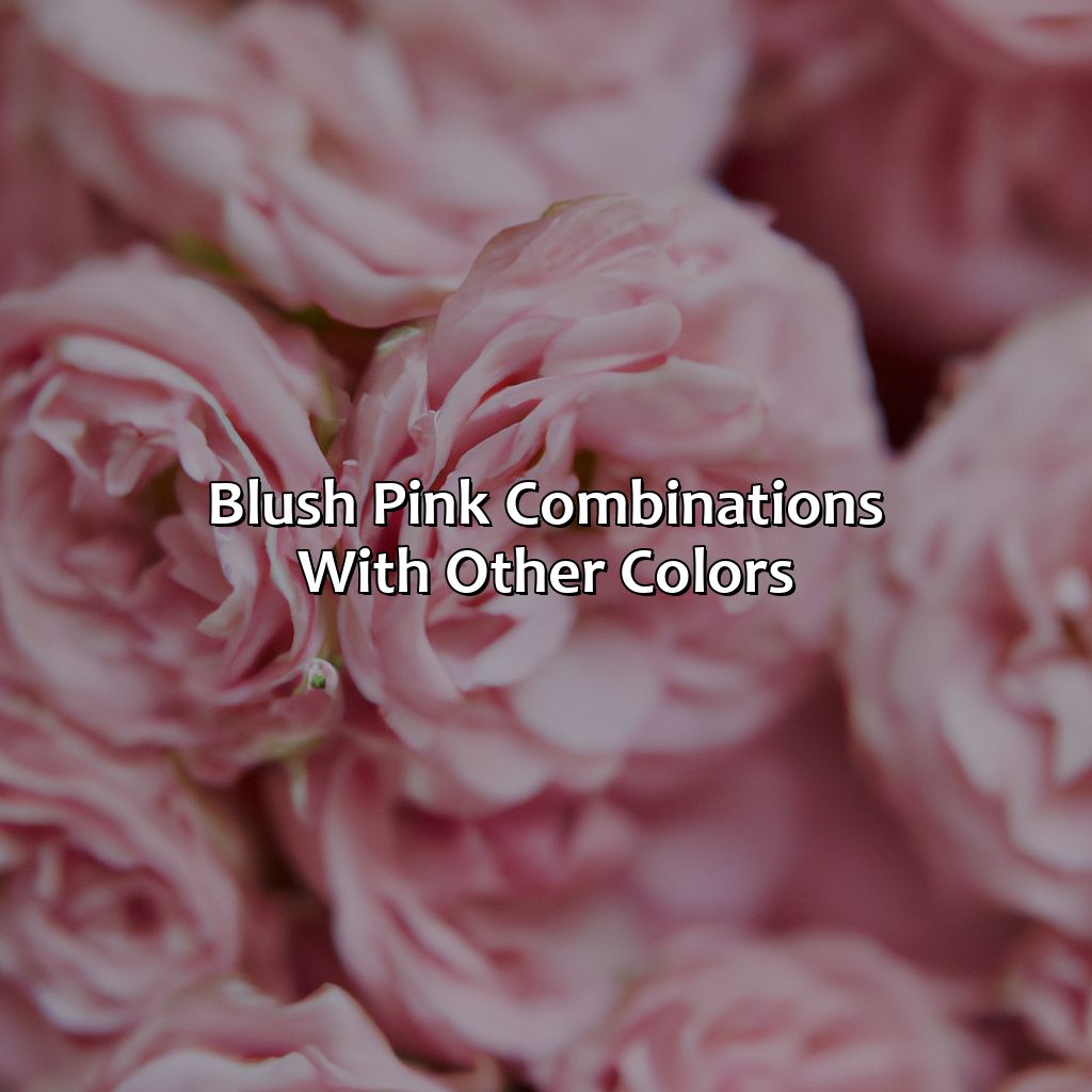 Blush Pink Combinations With Other Colors  - What Color Is Blush Pink, 