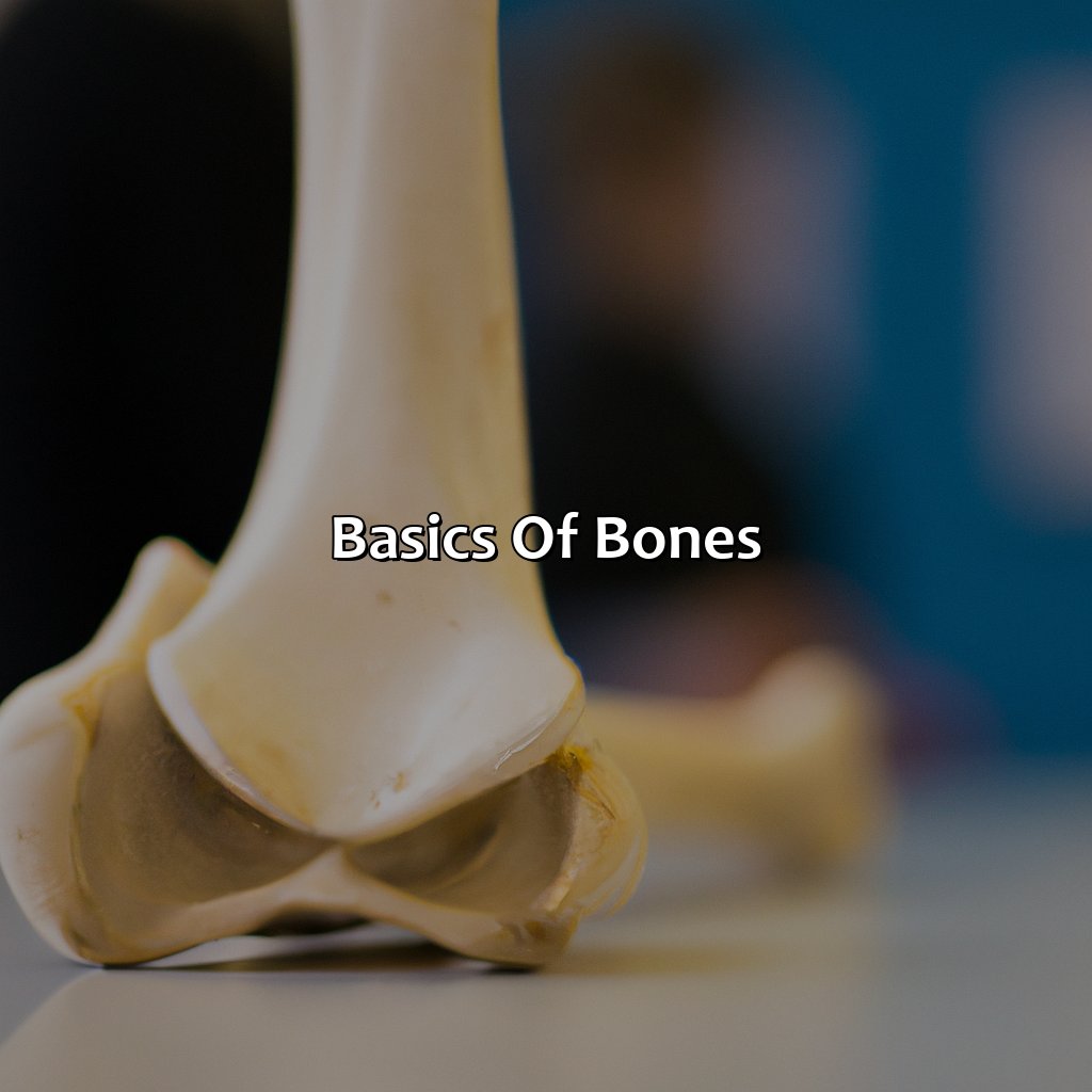 Basics Of Bones  - What Color Is Bone, 
