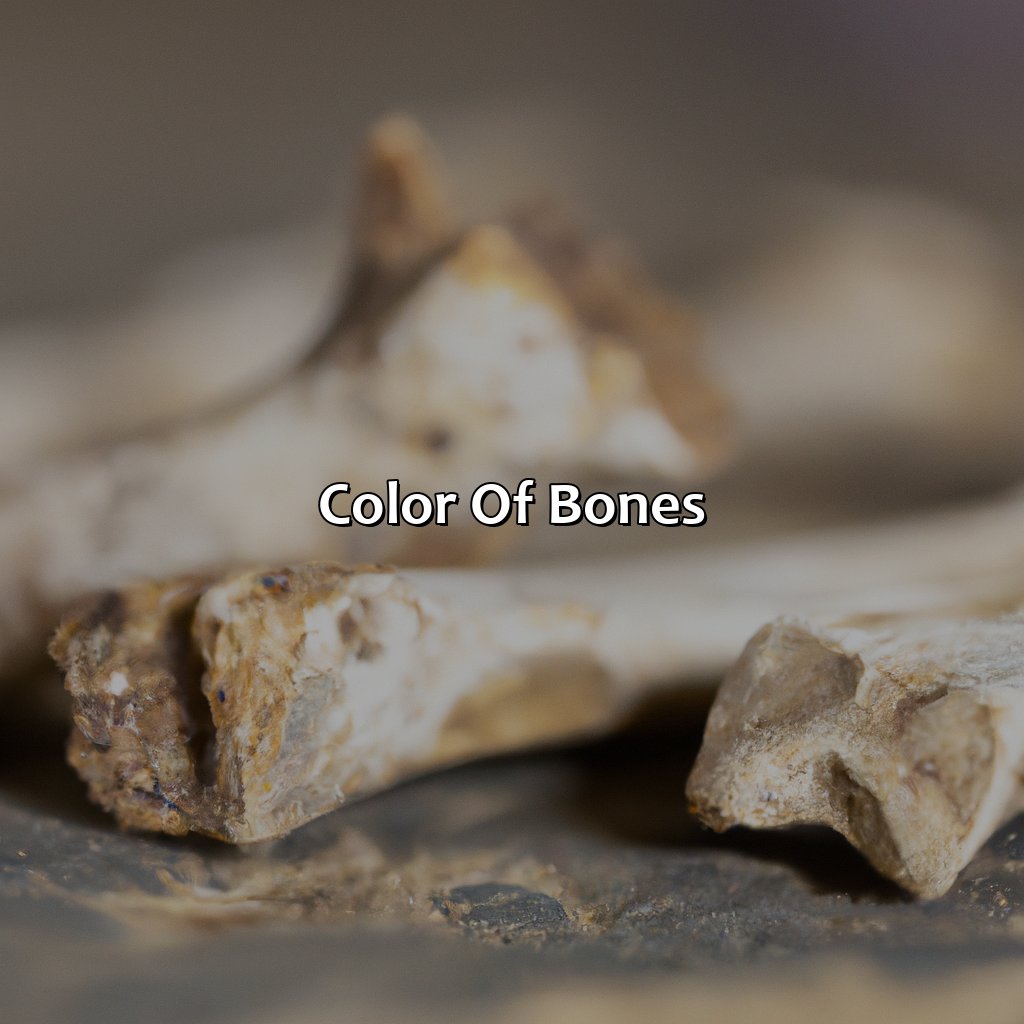 Color Of Bones  - What Color Is Bone, 