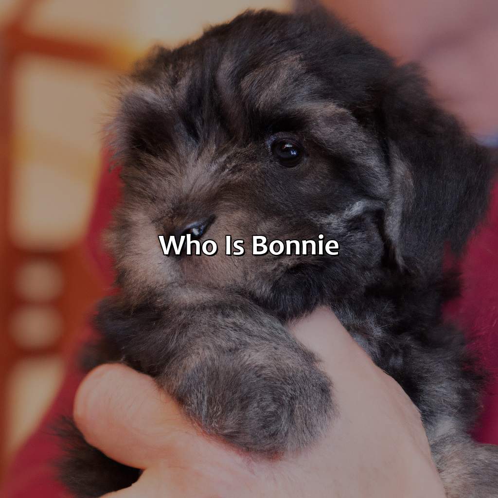 Who Is Bonnie?  - What Color Is Bonnie, 