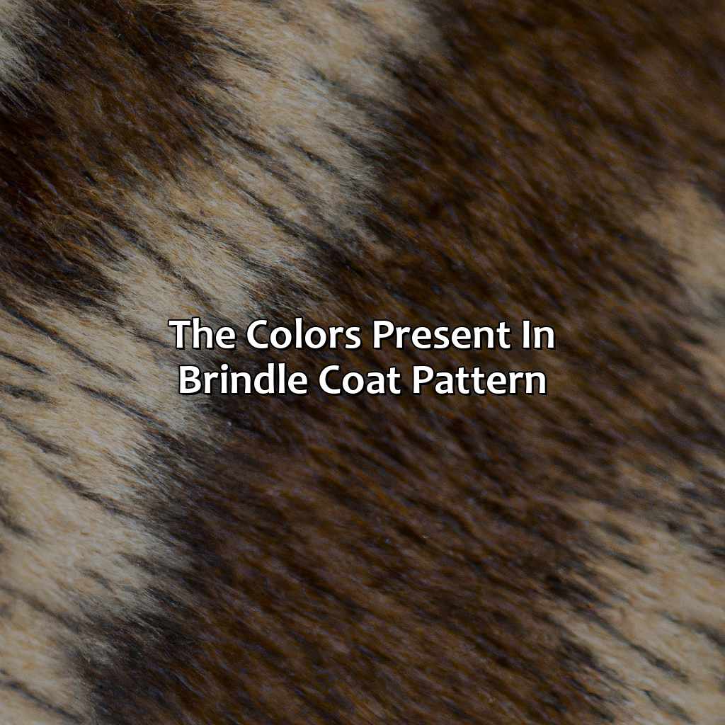 The Colors Present In Brindle Coat Pattern  - What Color Is Brindle, 
