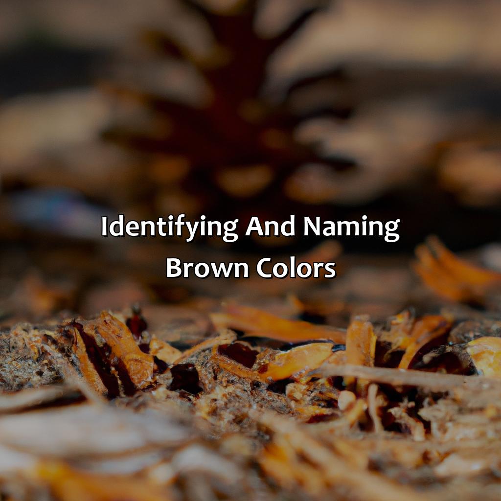 Identifying And Naming Brown Colors  - What Color Is Brown, 