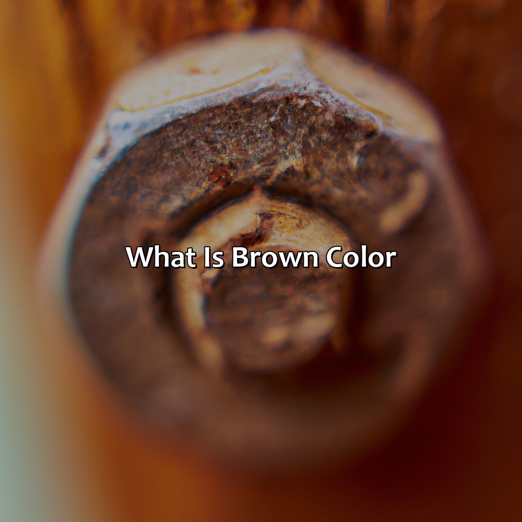 What Is Brown Color?  - What Color Is Brown, 