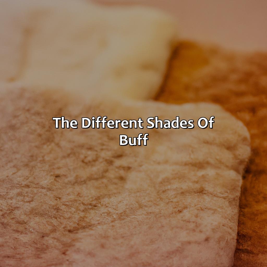 The Different Shades Of Buff  - What Color Is Buff, 