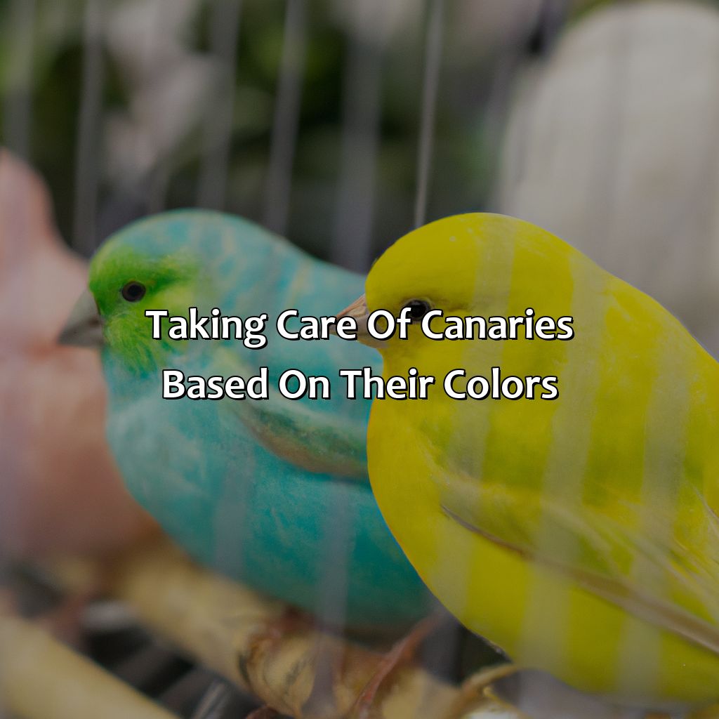 Taking Care Of Canaries Based On Their Colors  - What Color Is Canary, 