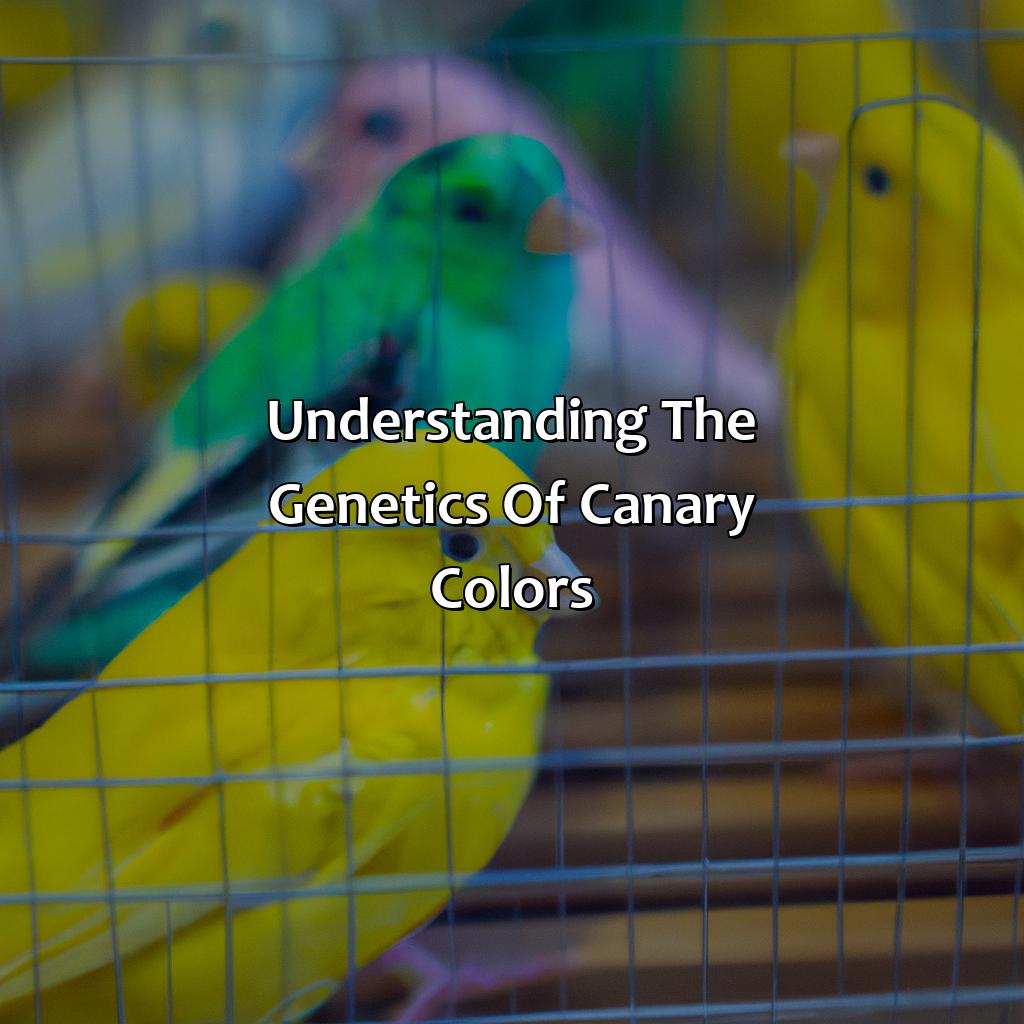 Understanding The Genetics Of Canary Colors  - What Color Is Canary, 