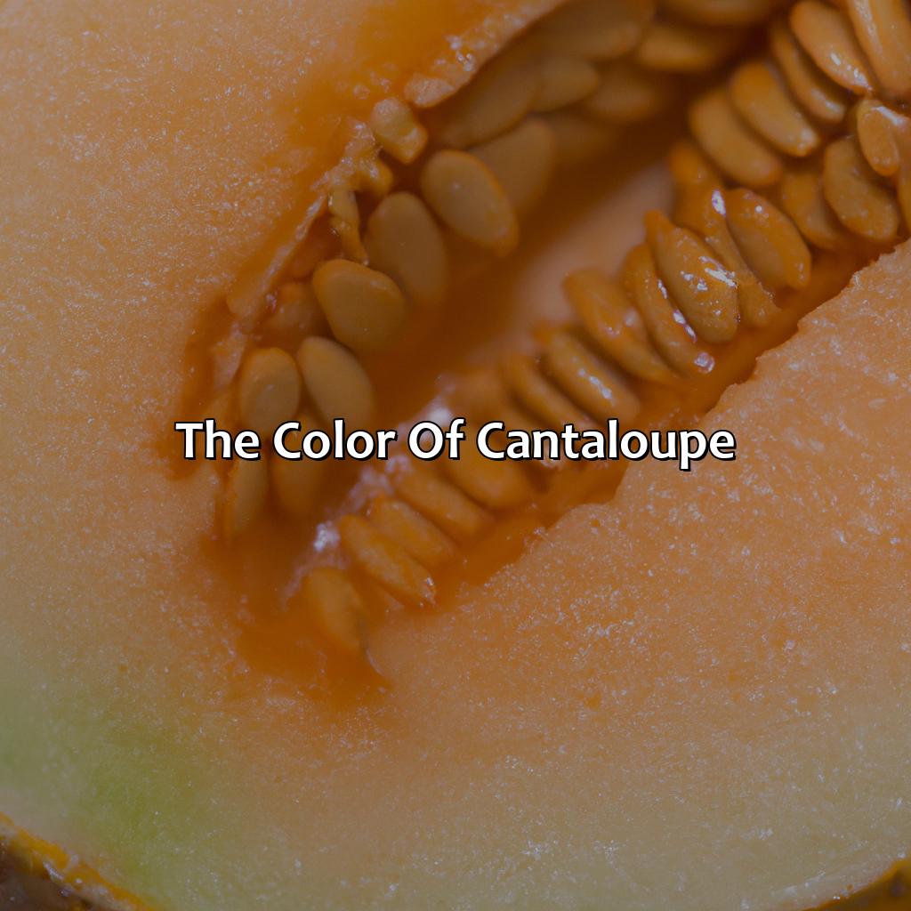 The Color Of Cantaloupe  - What Color Is Cantaloupe, 