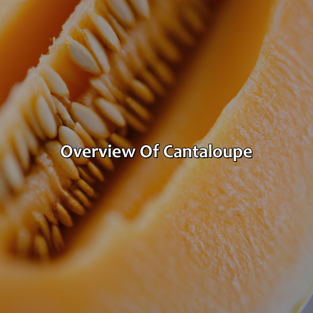 Overview Of Cantaloupe  - What Color Is Cantaloupe, 