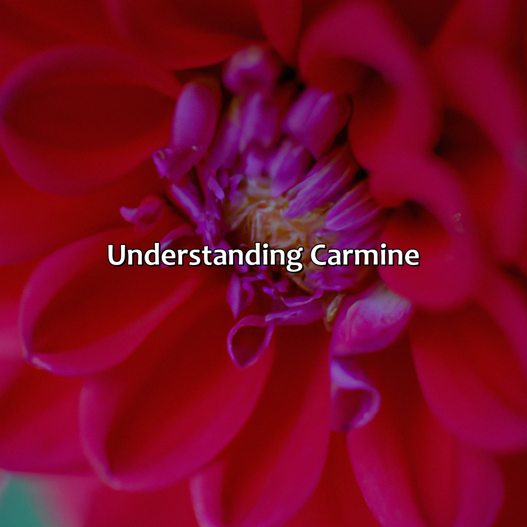 Understanding Carmine  - What Color Is Carmine, 