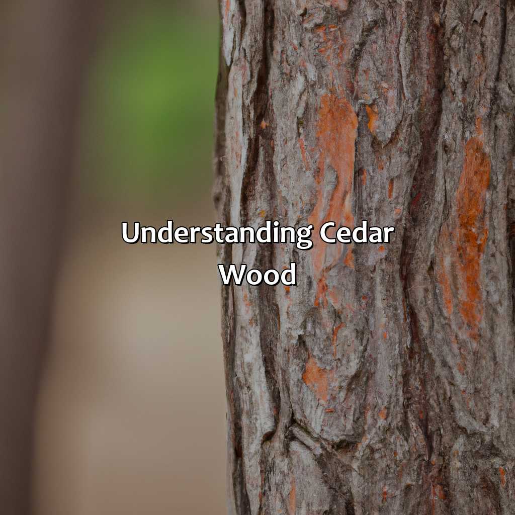 Understanding Cedar Wood  - What Color Is Cedar Wood, 