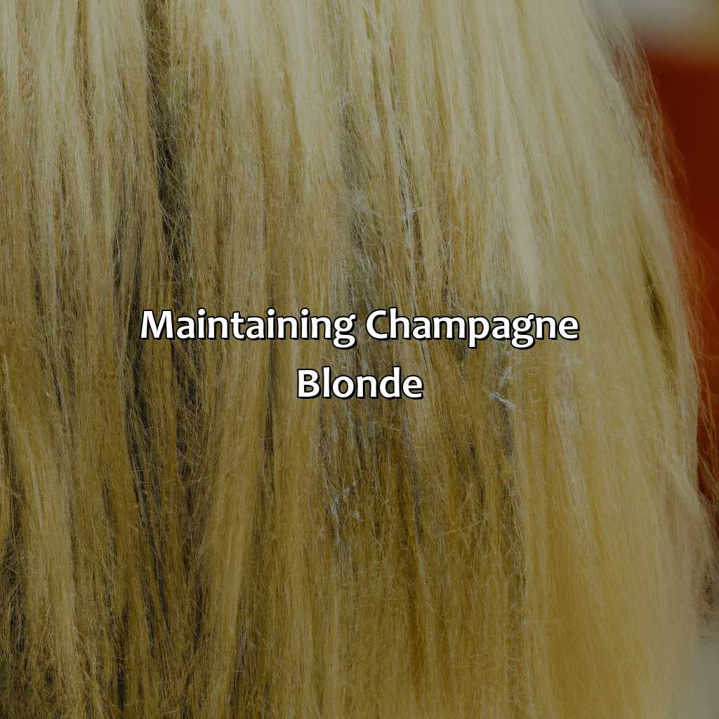 Maintaining Champagne Blonde  - What Color Is Champagne Blonde, 